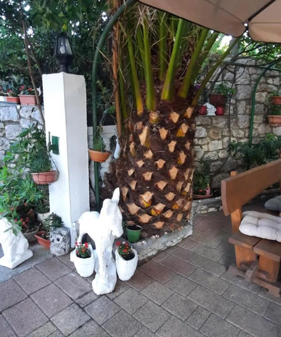 Apartmani Jenny I Tania Lopar